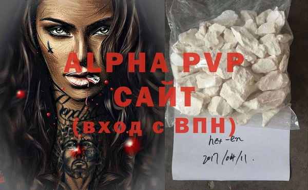 СК Алексин