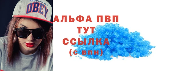 СК Алексин