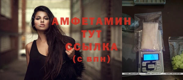 СК Алексин
