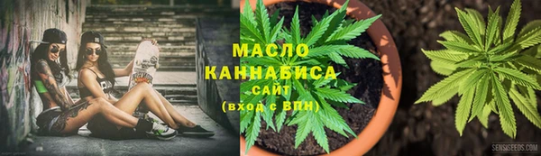 СК Алексин
